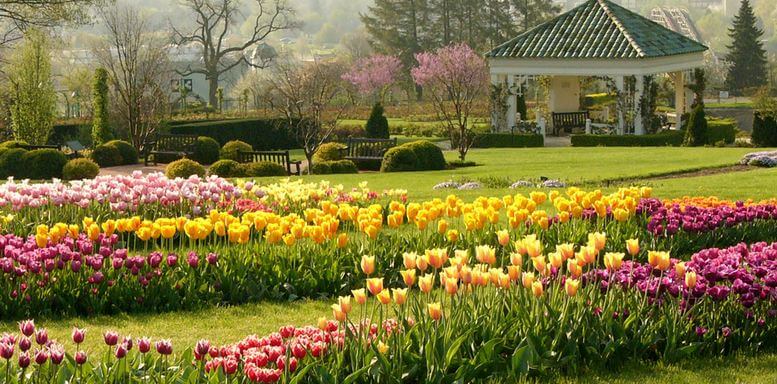 Flowers at Hershey Garden, USA
