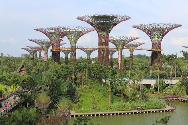 Biến Singapore thành công viên khổng lồ- 2